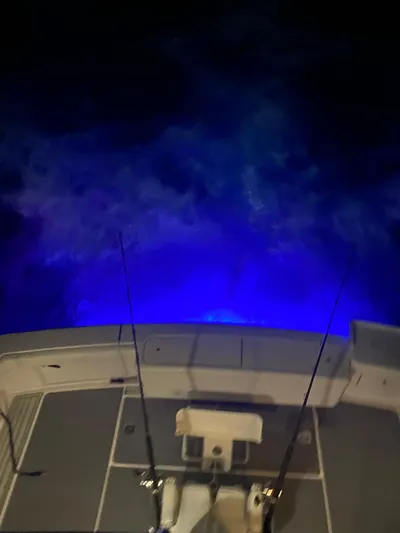 True Grit Yacht Photos Pics 