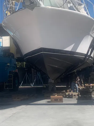 True Grit Yacht Photos Pics 