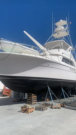 True Grit Yacht Photos Pics 