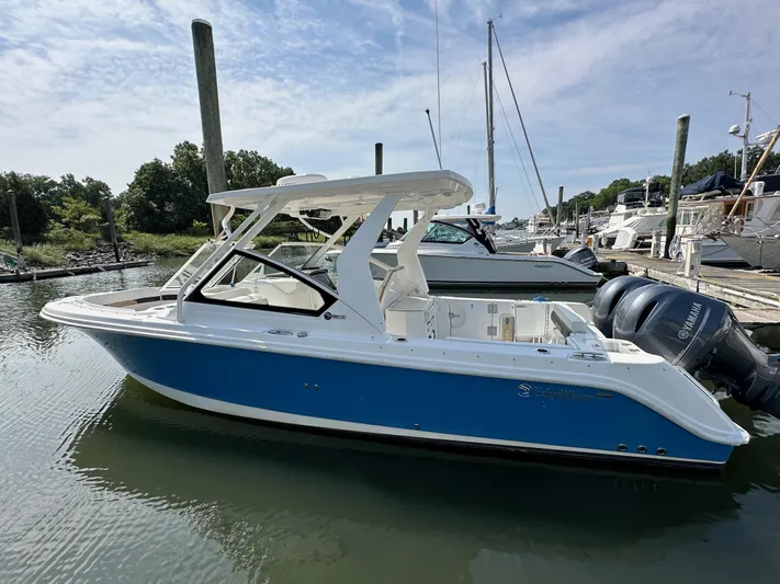  Yacht Photos Pics 