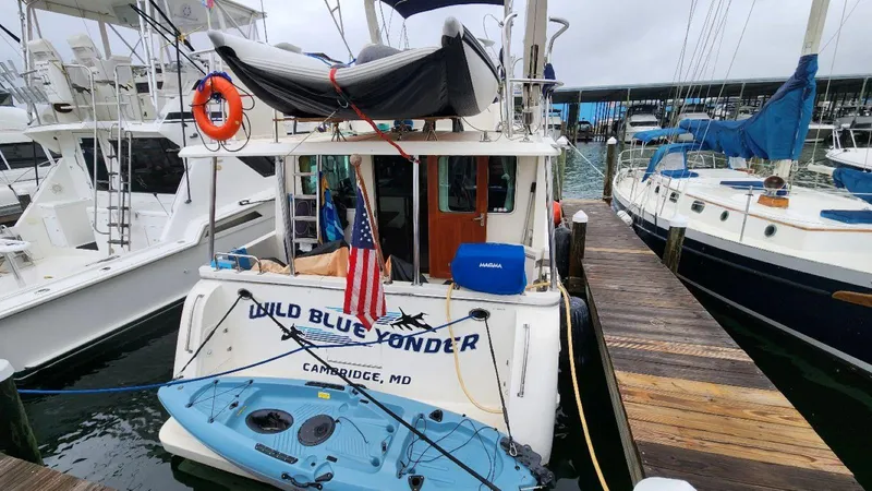 Wild Blue Yonder Yacht Photos Pics 