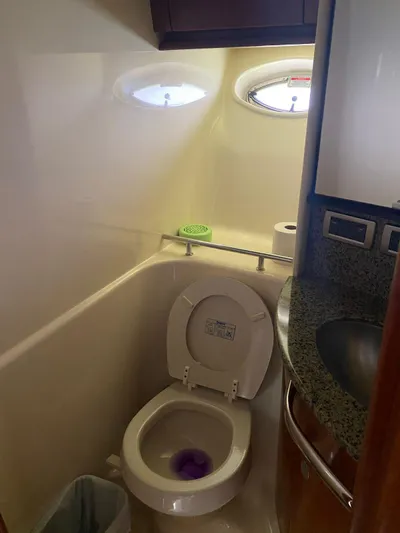 Okeyanos Yacht Photos Pics 2006 Sea Ray 440 Sundancer yacht bathroom with toilet and sink.