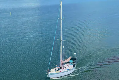 Tayana Vancouver 42