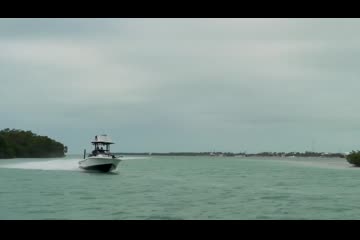 Video Placeholder