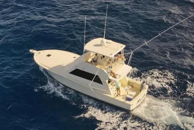 Viking 43 Convertible