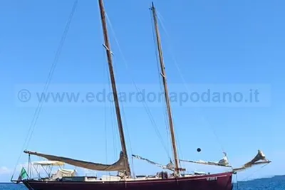 1984 Classic Sciarrelli