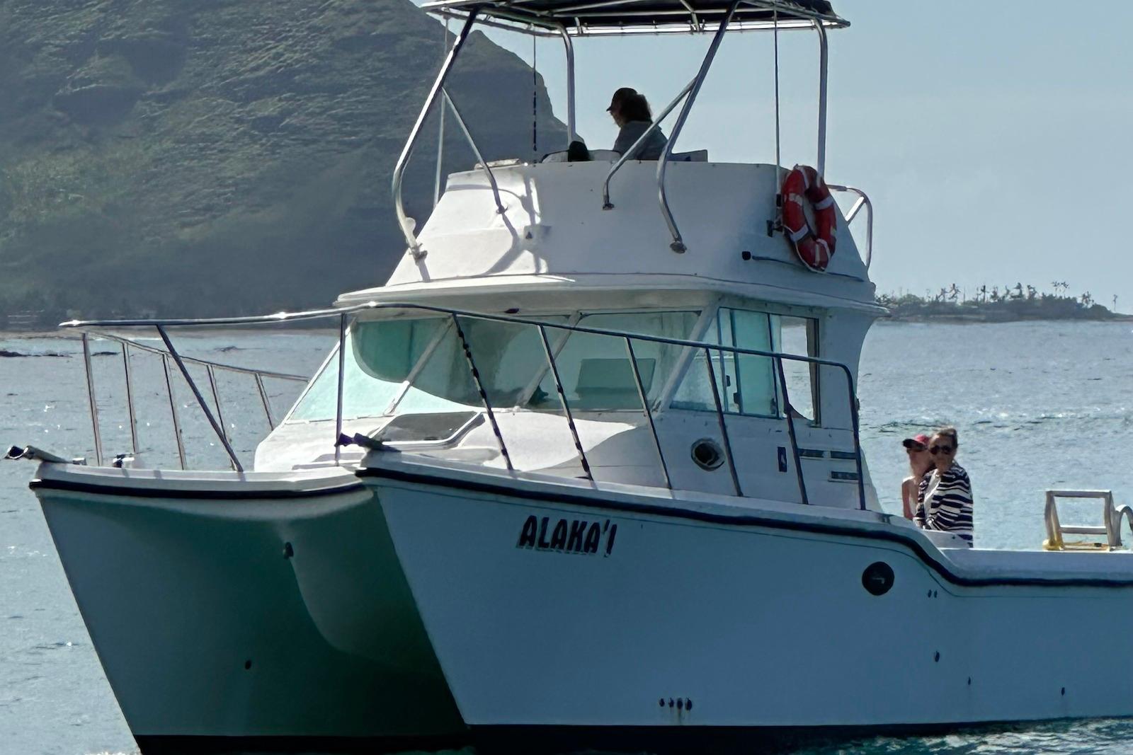 Baha Cruisers 340 King Cat