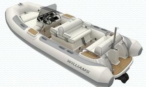 Williams Jet Tenders Dieseljet 445