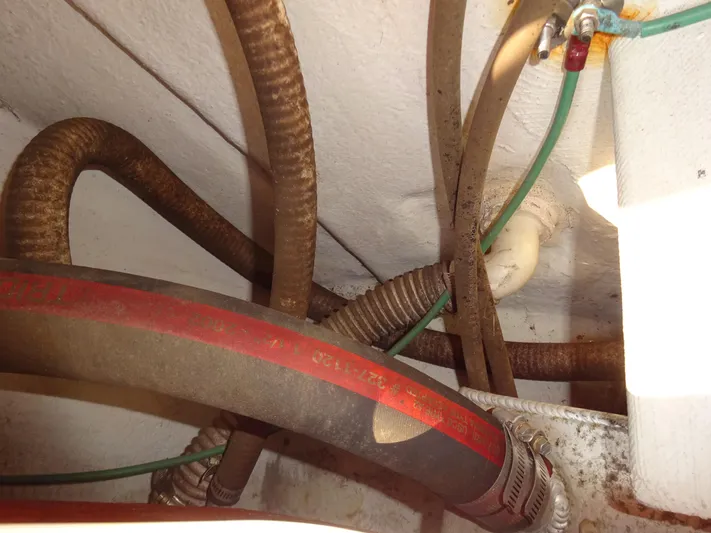 Gala Yacht Photos Pics 