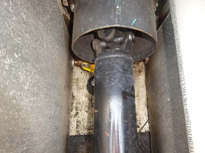 Gala Yacht Photos Pics 