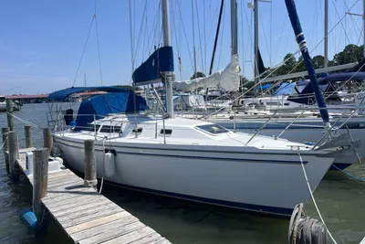 Catalina 320