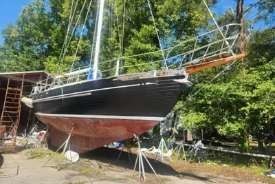 Tayana 37