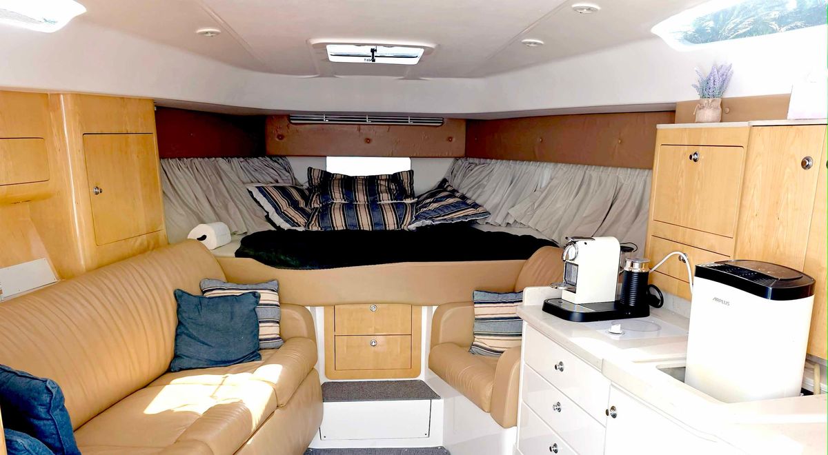 2008 Intrepid 43 