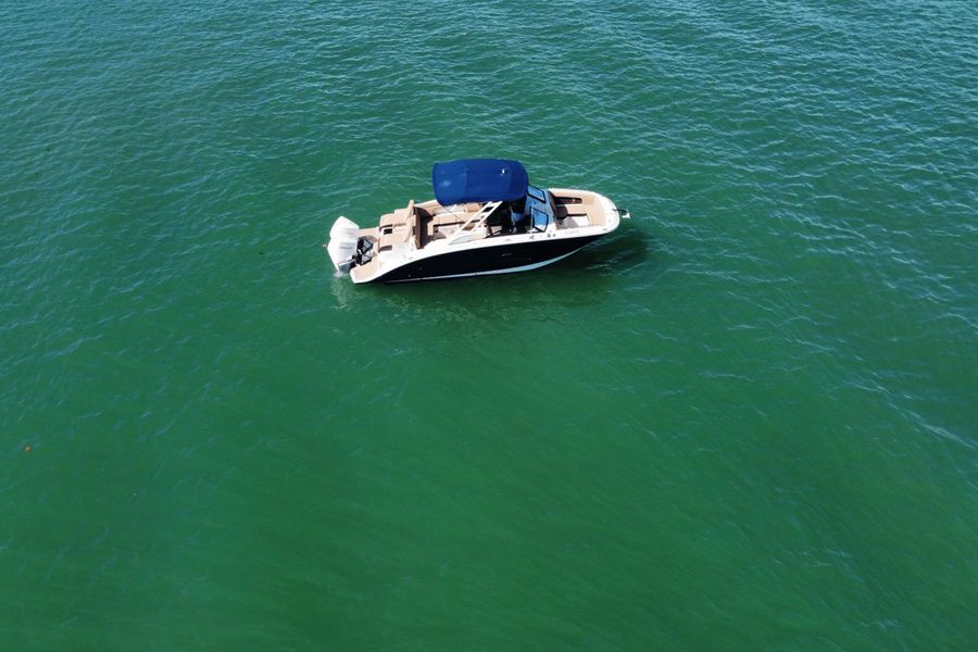 2021 Sea Ray SDX 290 OB