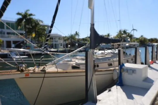 Inspiration Yacht Photos Pics 1989 Island Packet 38 sailboat docked in a sunny marina with palm trees.