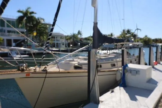 Inspiration Yacht Photos Pics 1989 Island Packet 38 sailboat docked in a sunny marina with palm trees.