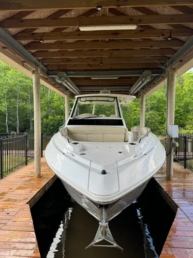 Mullin' It Over Again Yacht Photos Pics 2019 Regal 33 SAV boat docked under wooden shelter, surrounded by greenery.