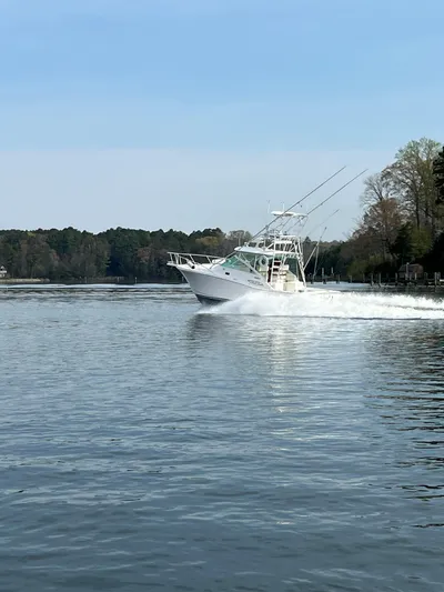 Tally Ho Yacht Photos Pics 