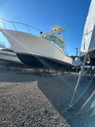 Tally Ho Yacht Photos Pics 