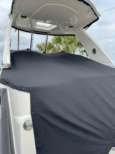  Yacht Photos Pics 2013 Monterey 320 Sport Yacht covered, docked with palm trees in the background.