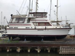 1981 Gulfstar MY