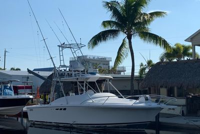 Luhrs 290 open tournament