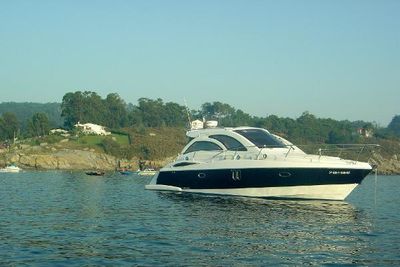 2010 Platinum 40
