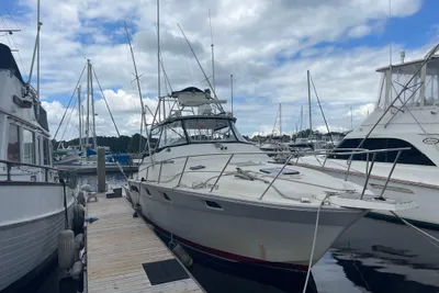 Luhrs 340