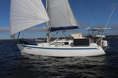 Custom Samoa 34