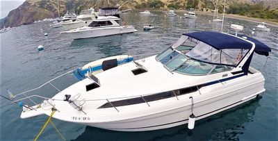 Wellcraft Martinique 3600