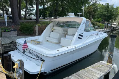 Sea Ray 340 Amberjack