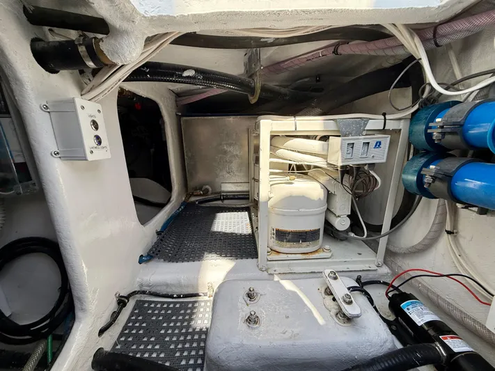 Reel Conversation Yacht Photos Pics 