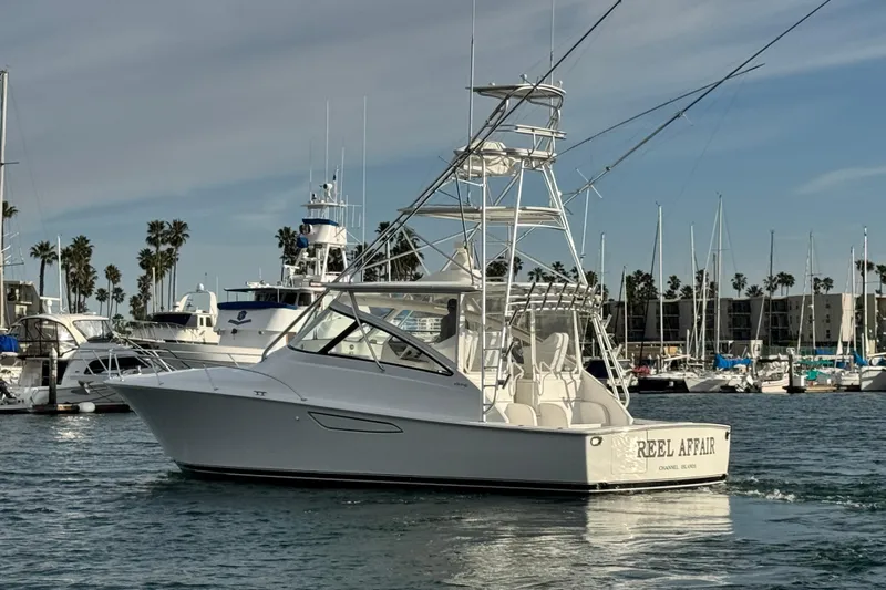  Yacht Photos Pics 2012 Viking 42 Open yacht in marina, surrounded by palm trees and other boats.