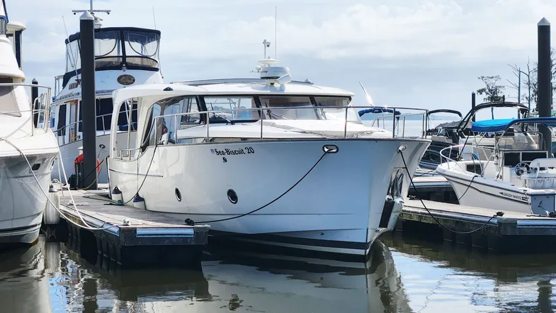Sea-solar Sue & Lectric Lee Yacht Photos Pics 2022 Greenline 40 yacht docked at marina, surrounded by other boats.