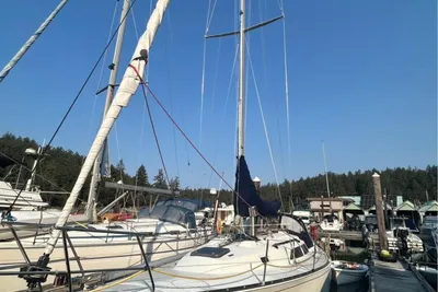 C&C 37