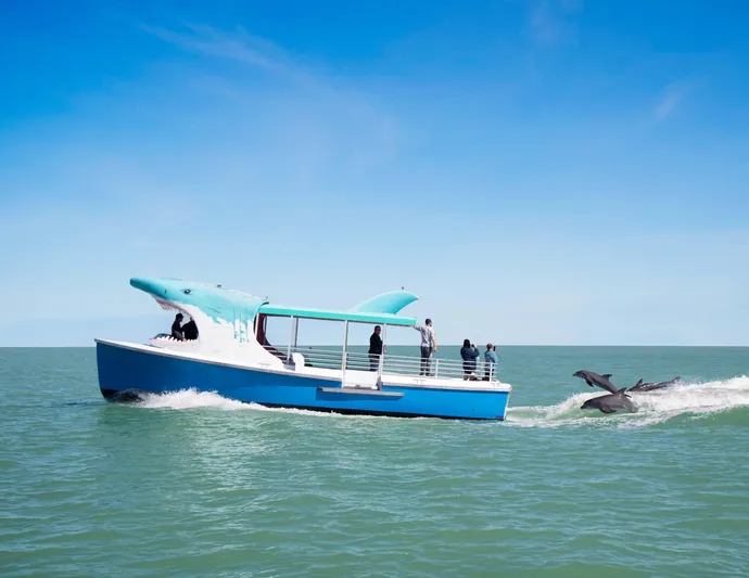 Mega Bite Yacht Photos Pics 