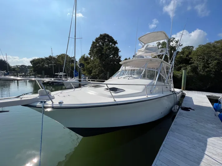 The Big O Yacht Photos Pics Grady White 330 Express