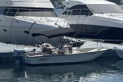 Boston Whaler 17 Montauk