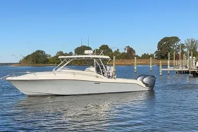Hydra-Sports 33VX