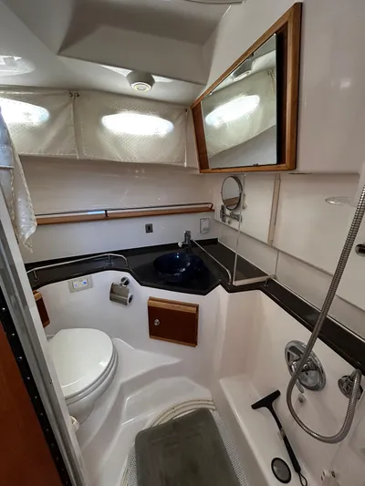 Blue Gail Yacht Photos Pics 2020 Cutwater C-30 Sedan bathroom with toilet, sink, and shower.