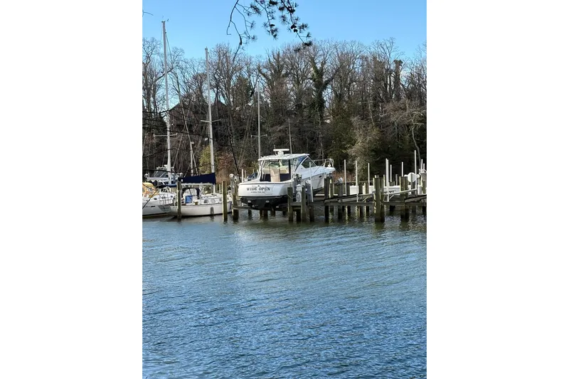  Yacht Photos Pics 2008 Tiara Yachts 3000 Open docked by a serene waterfront with trees.