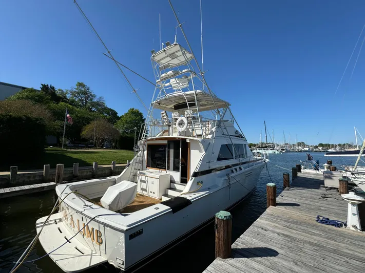 Out On A Limb Yacht Photos Pics 