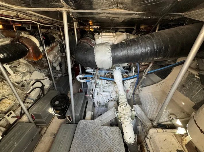 Out On A Limb Yacht Photos Pics 