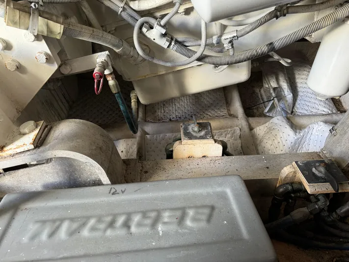 Out On A Limb Yacht Photos Pics 