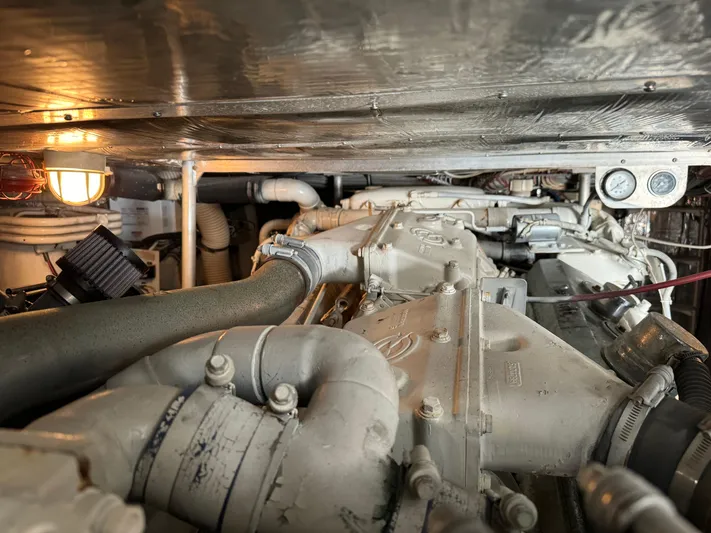 Out On A Limb Yacht Photos Pics 