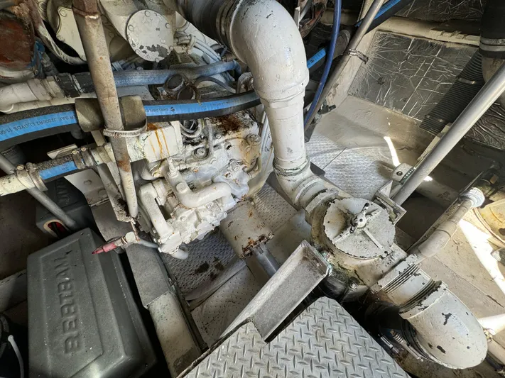 Out On A Limb Yacht Photos Pics 