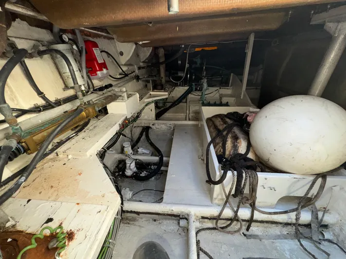 Out On A Limb Yacht Photos Pics 