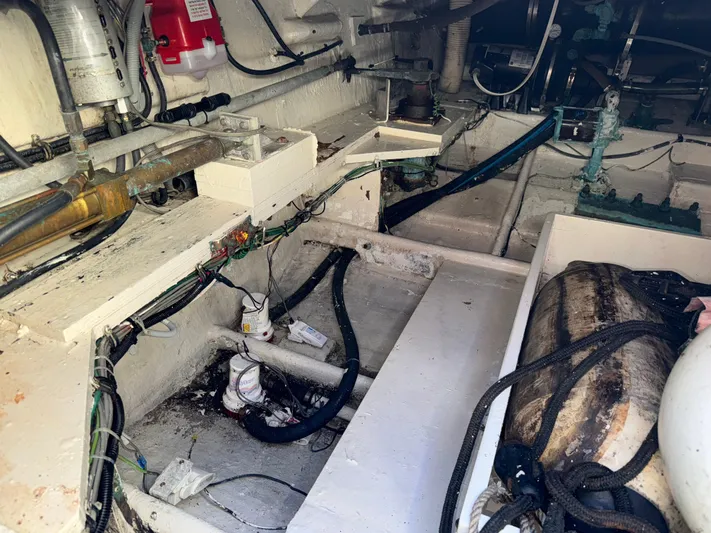 Out On A Limb Yacht Photos Pics 