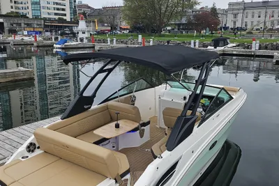 Sea Ray SDX 250