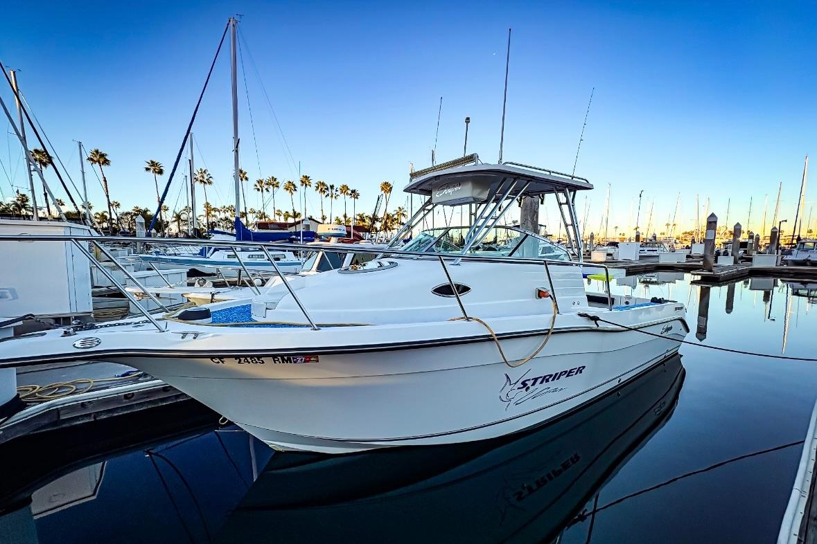 Seaswirl Striper 2601 Walkaround I/O